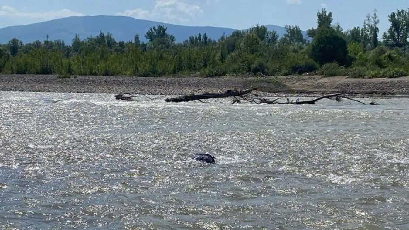 Ismét ölt a Tisza: egy hadköteles férfi holttestét találták meg a folyóban