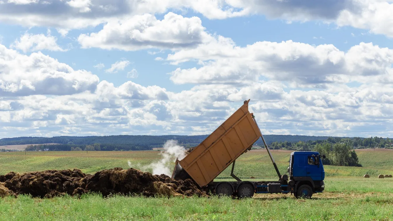 Árad a bűz Budapesten