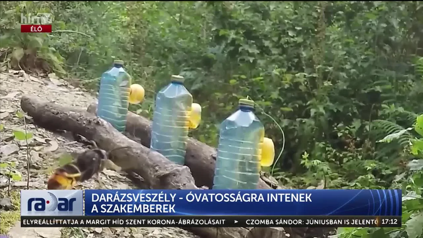 Radar - Darázsveszély - óvatosságra intenek a szakemberek (2024-08-26)