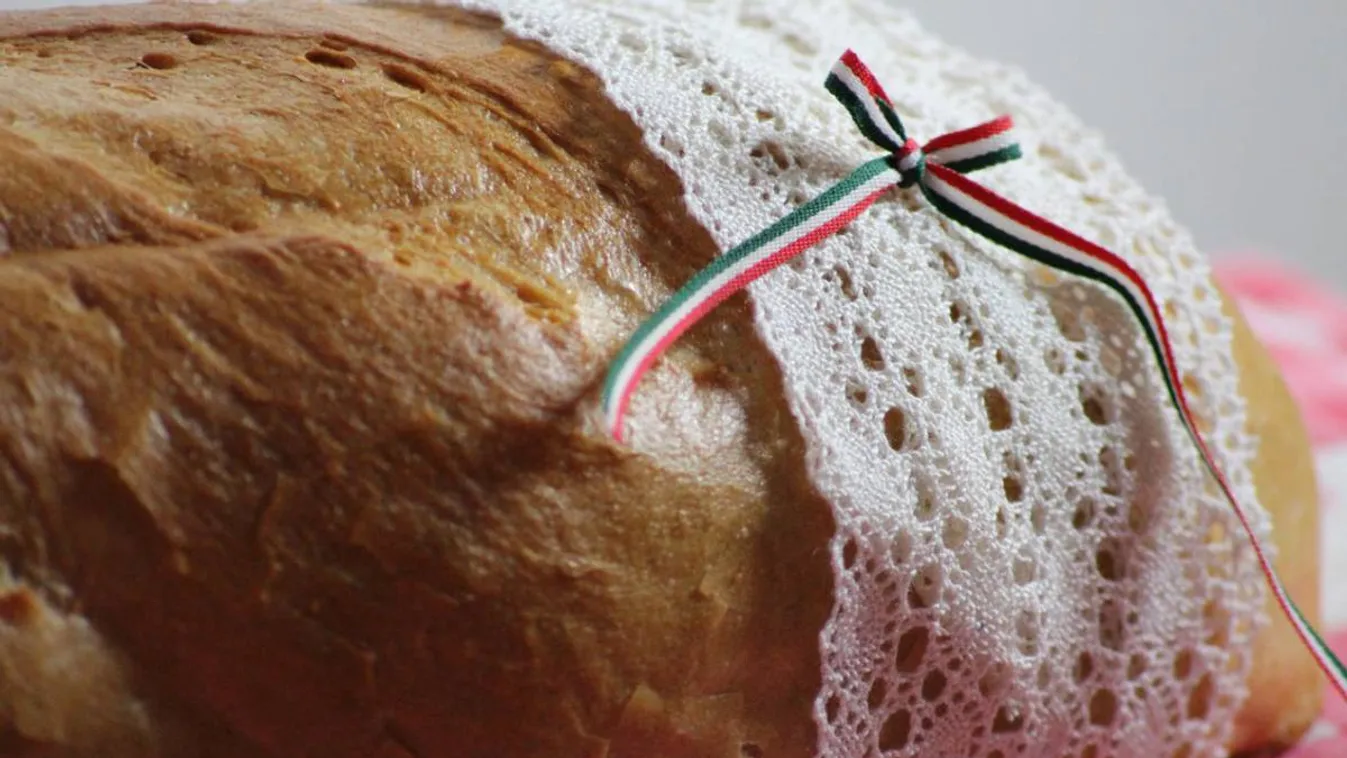 A kárpátaljai gazdák üzenik: a mostani nehéz helyzetben is élnek, élni akarnak