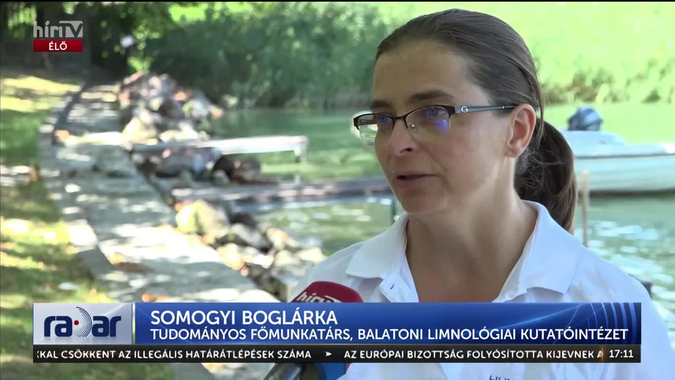 Radar - A hőség jelenleg nem veszélyezteti a Balaton élővilágát