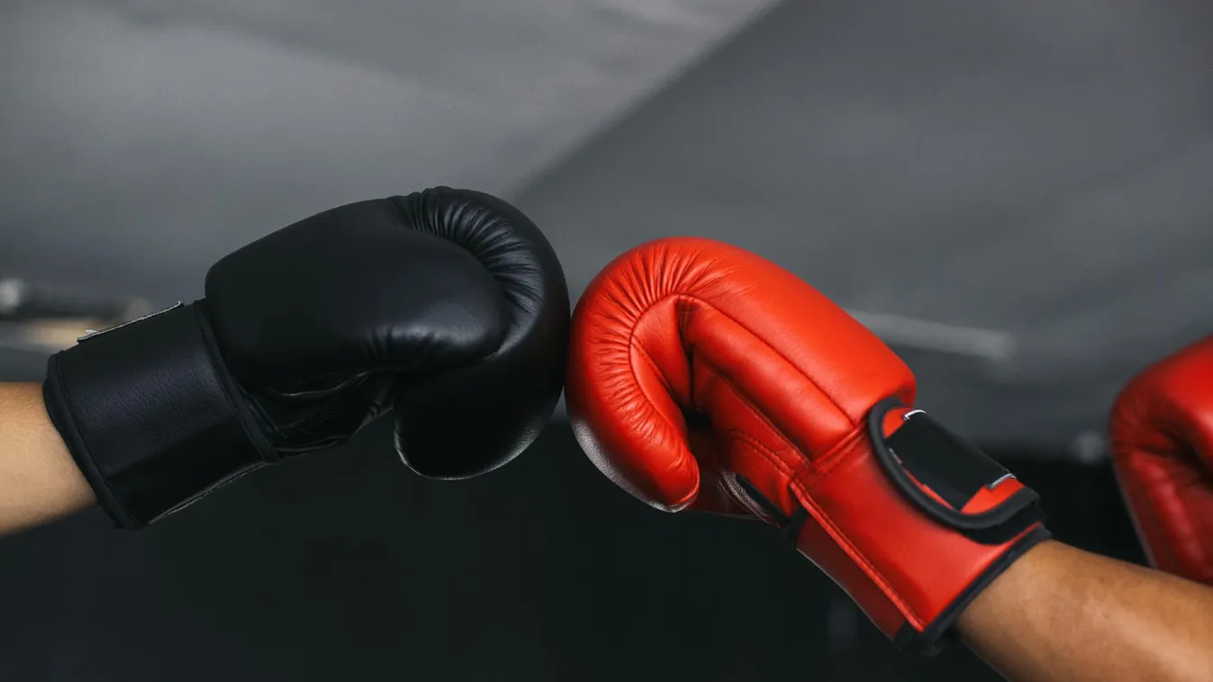 Már 42 tagja van a World Boxingnak