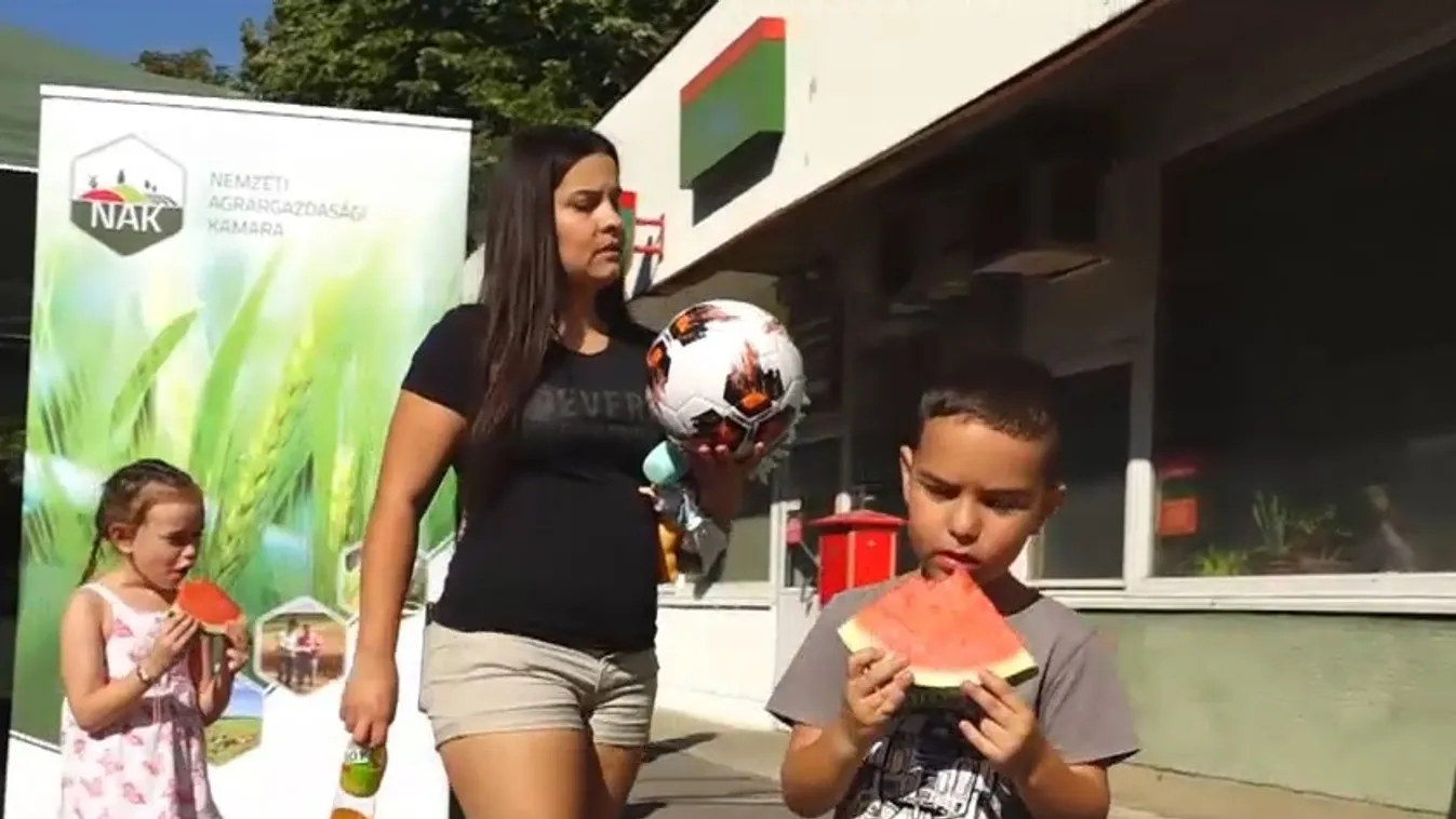 Dinnyekóstolót tartott a Nemzeti Agrárkamara Baranya vármegyei szervezete Pécsett + videó