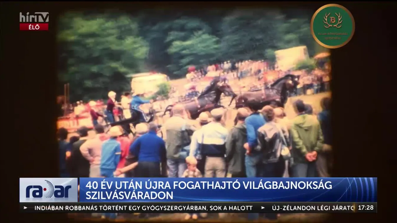Radar - 40 év után újra fogathajtó világbajnokság Szilvásváradon (2024-08-22)