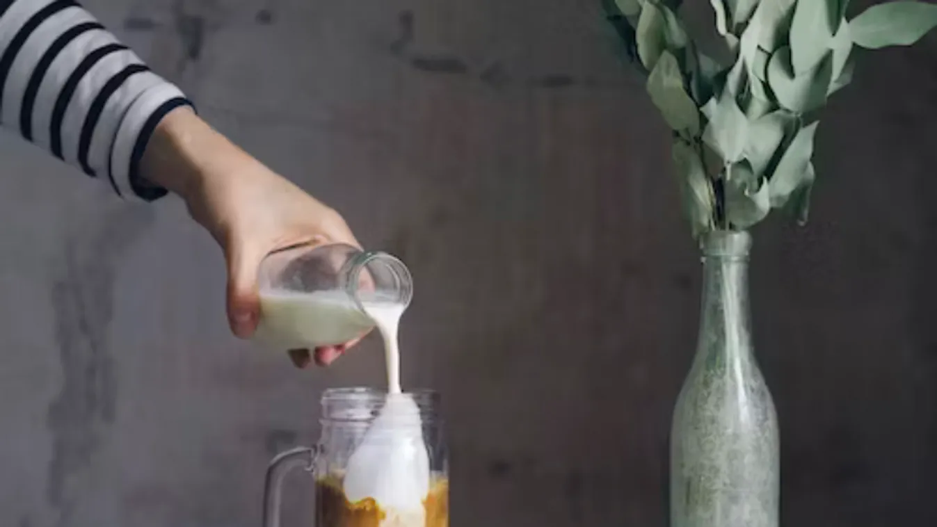 Magyar innováció a növényi italok piacán