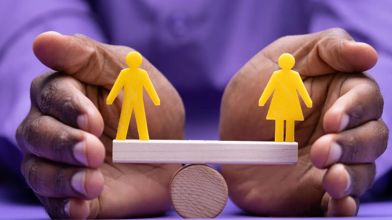 Gendersemleges mosdóban erőszakoltak meg egy fogyatékkal élő lányt