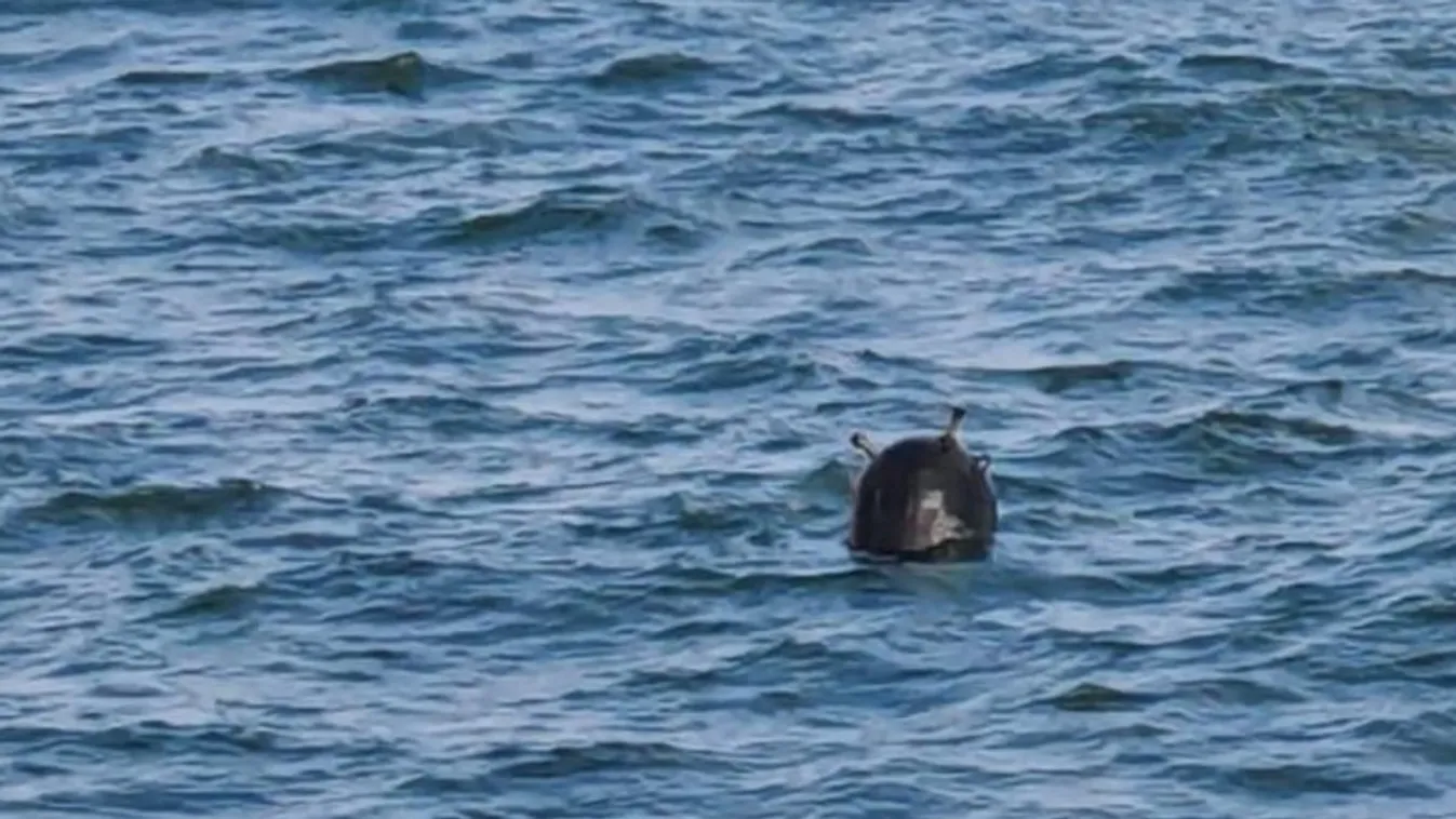 A román partokra sodródott folyami aknát semmisítettek meg