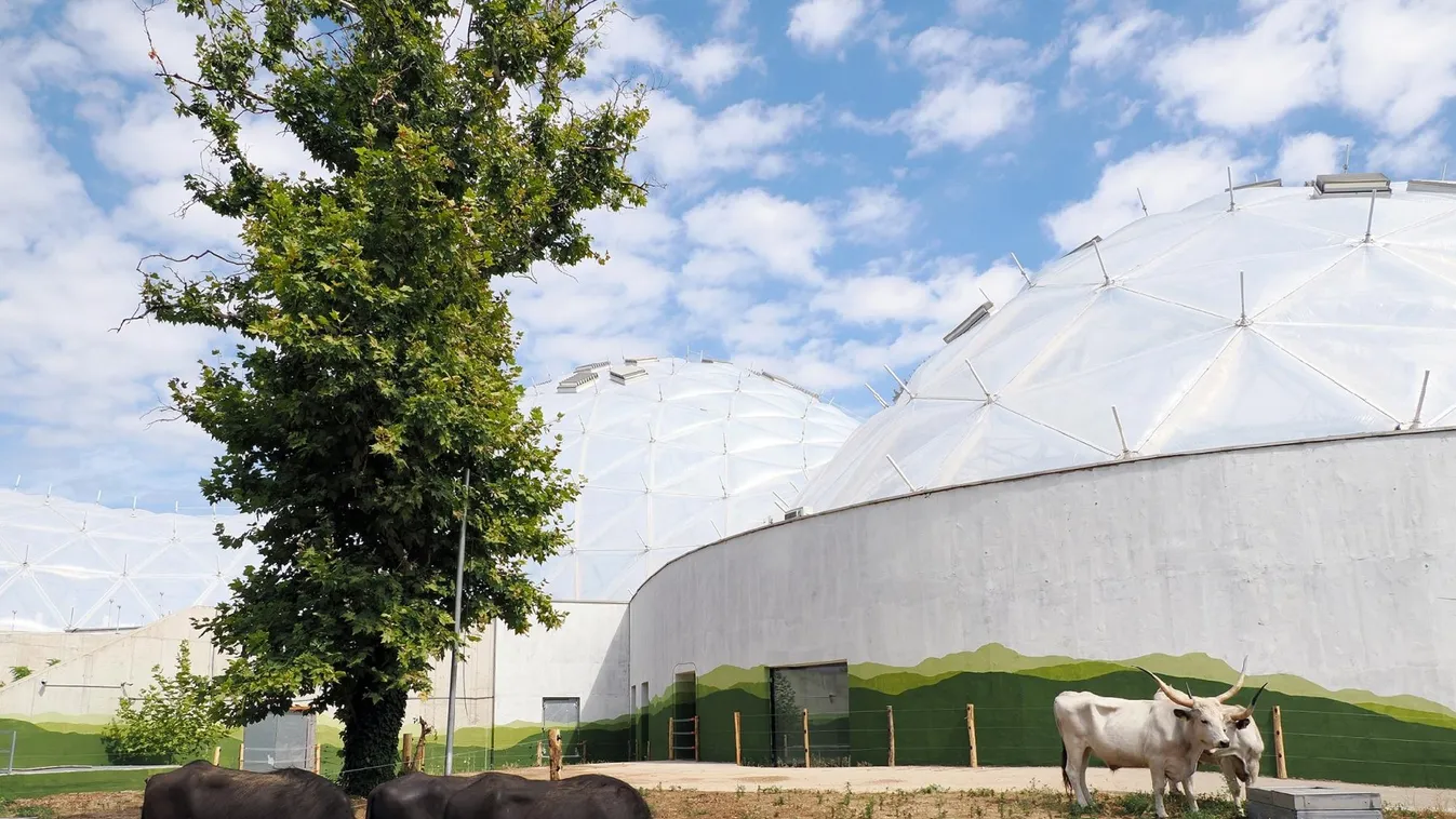 Új hír érkezett a Biodómmal kapcsolatban - a látogatókat is várják