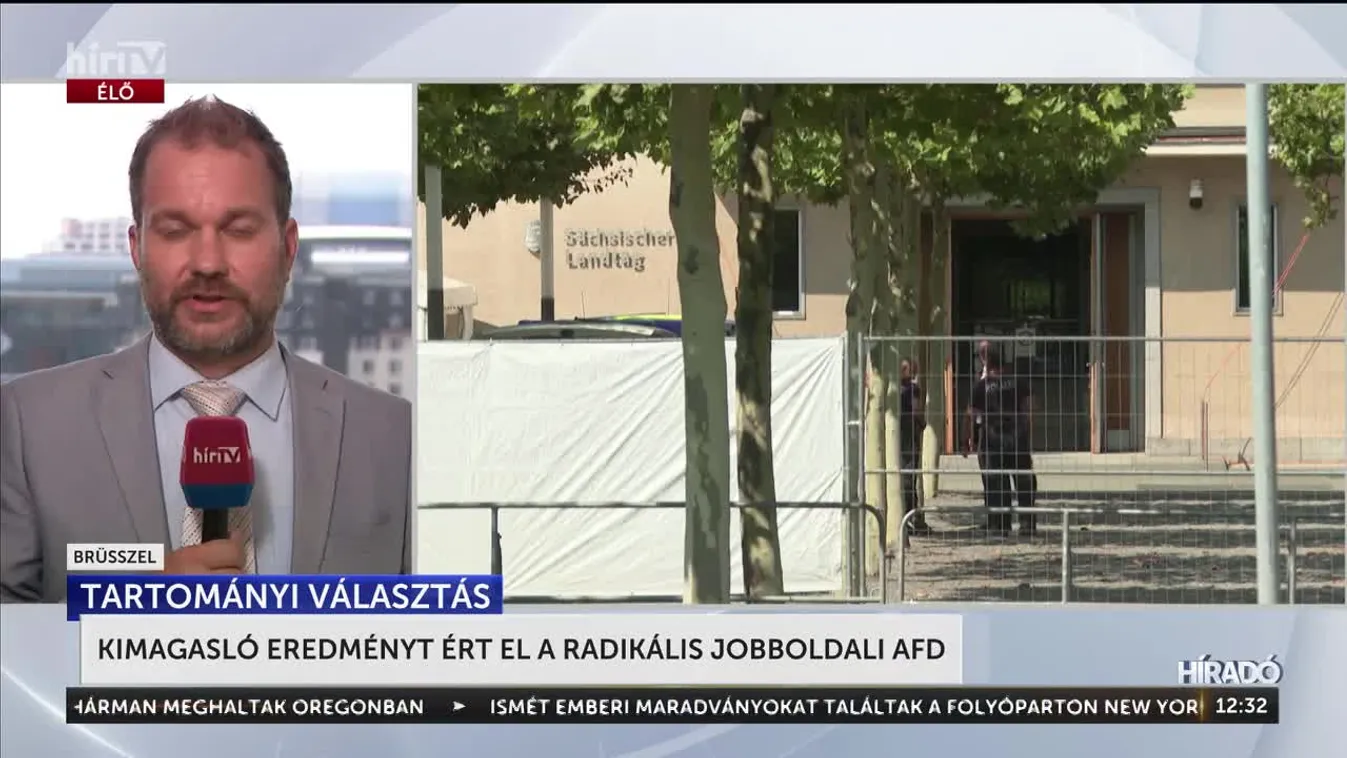 Kimagasló eredményt ért el a radikális jobboldali AfD