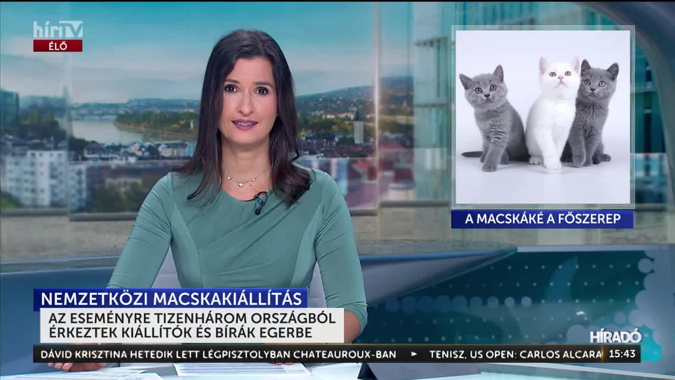 A macskáké volt a főszerep Egerben