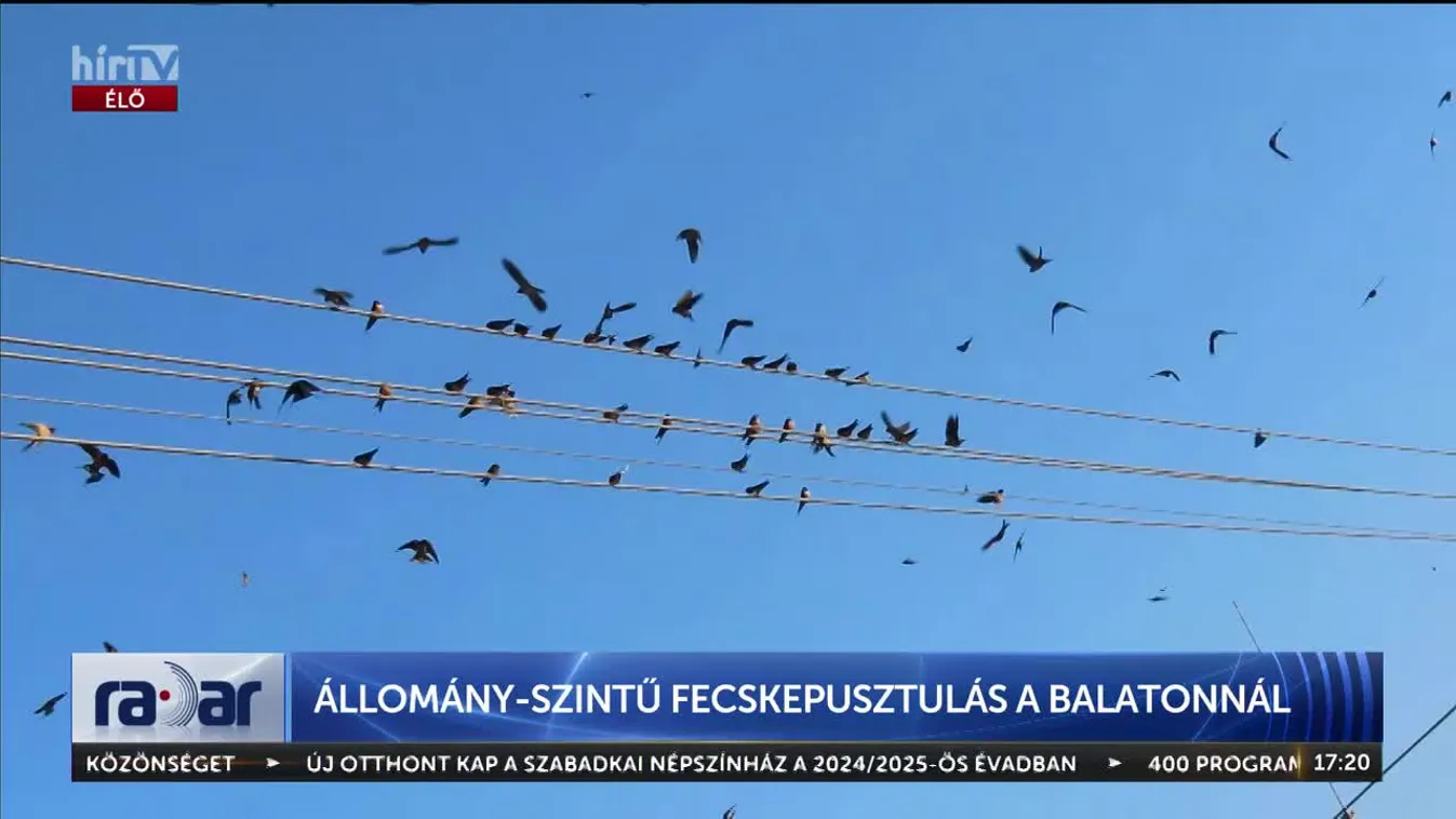 RADAR - ÁLLOMÁNY-SZINTŰ FECSKEPUSZTULÁS A BALATONNÁL