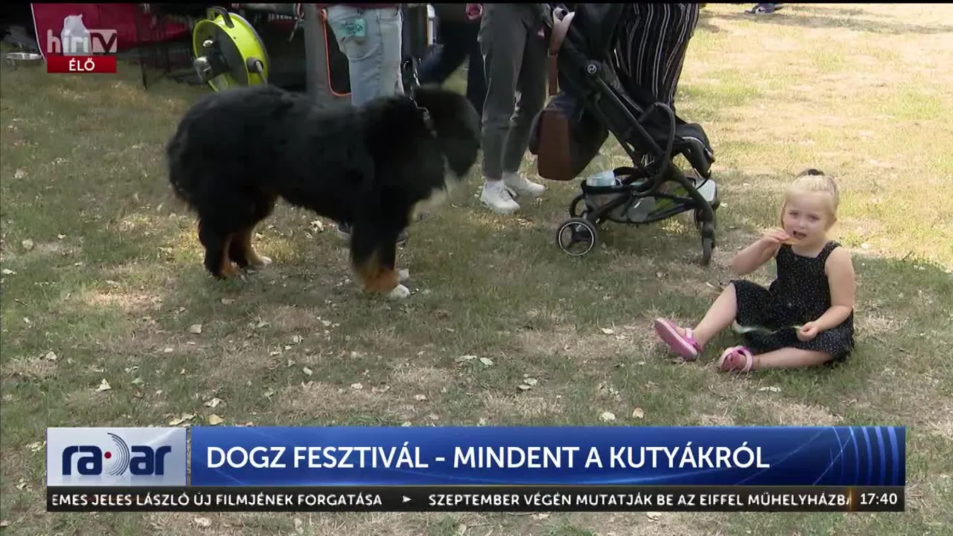 Radar - DOGZ fesztivál - mindent a kutyákról (2024-09-11)