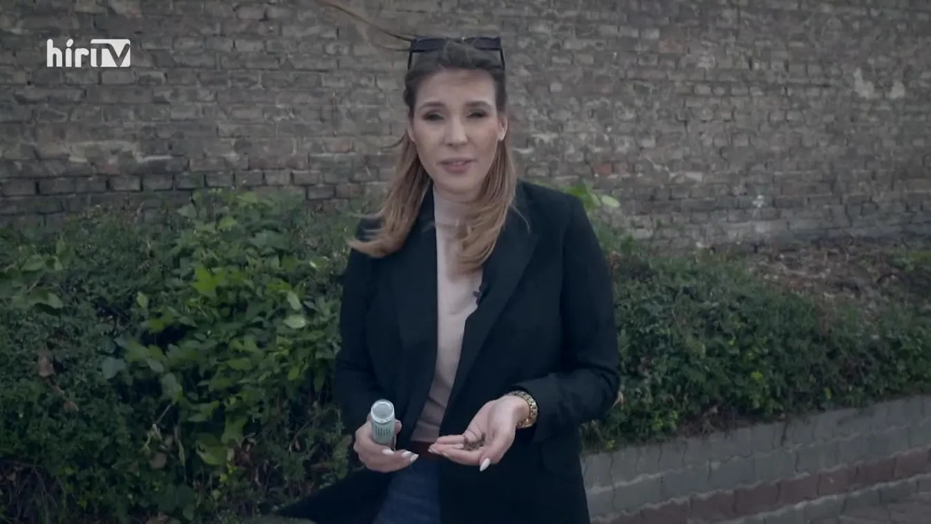 Célpont - A rovarlobbi bevette Brüsszelt