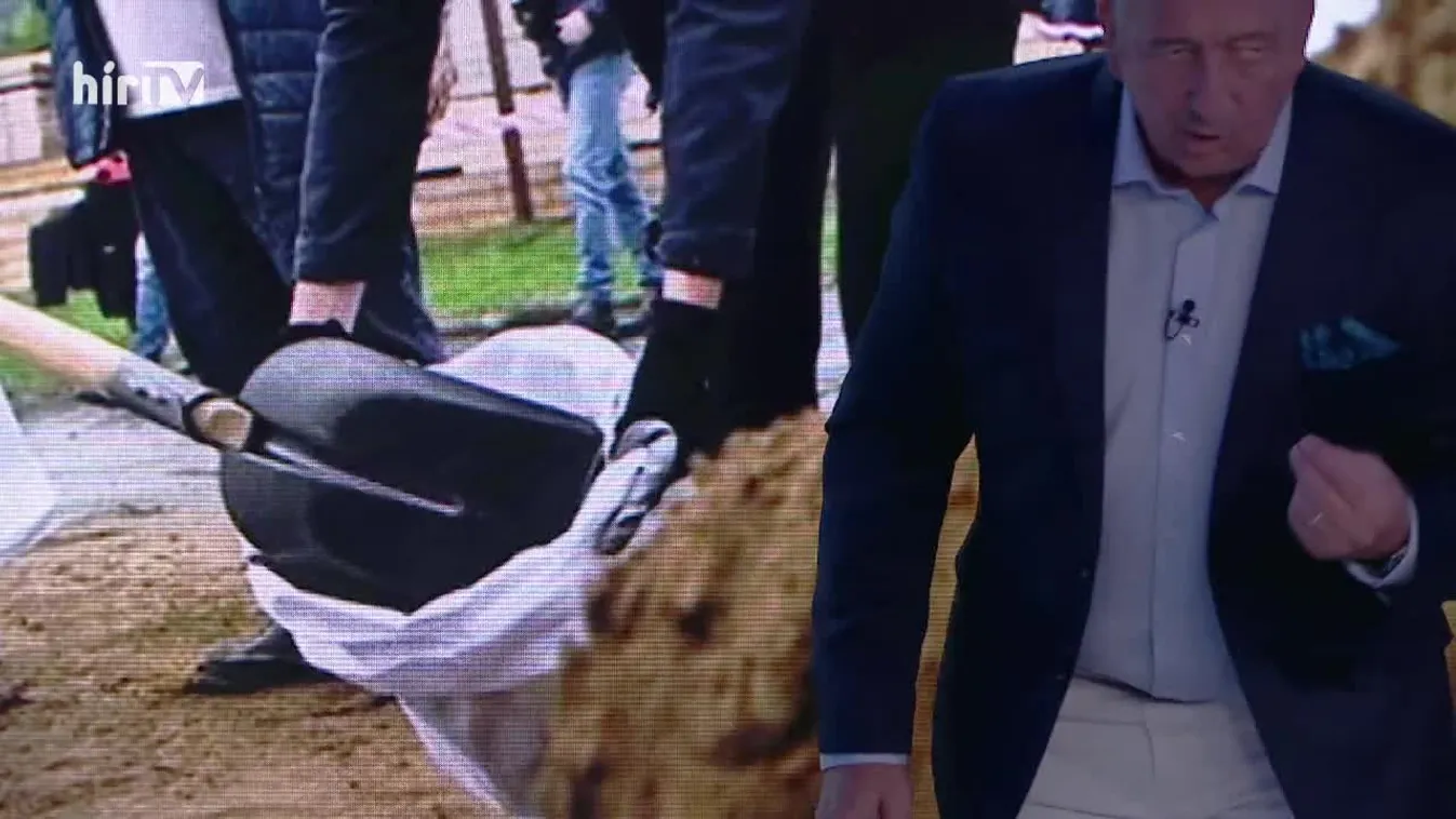 Bayer show (2024-09-22)