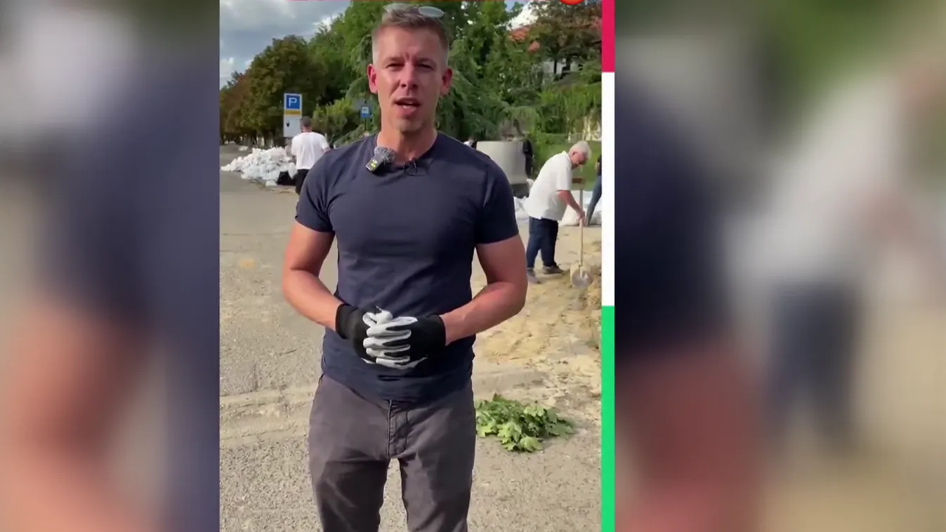 A tiszások nekirontottak Magyarországnak az Európai Parlamentben