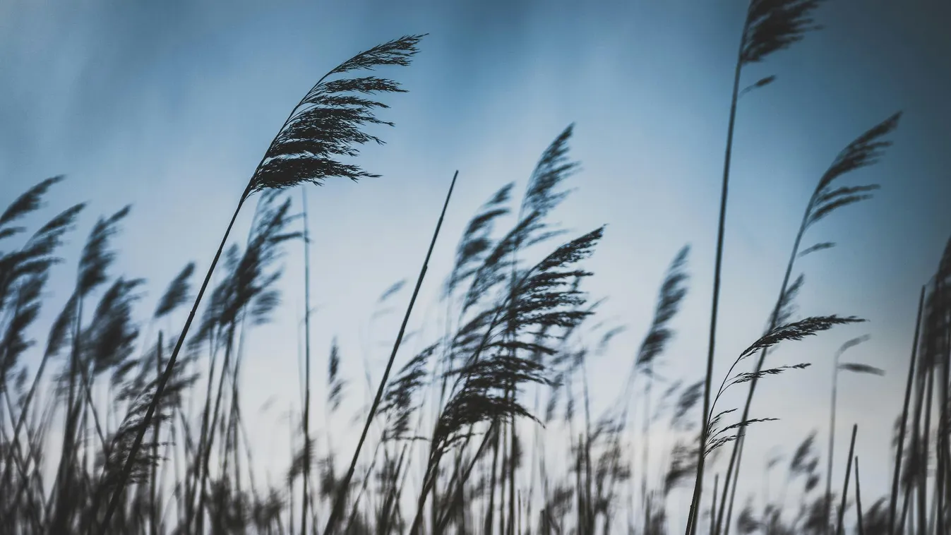 Megdőlt a fővárosi szélrekord csütörtökön