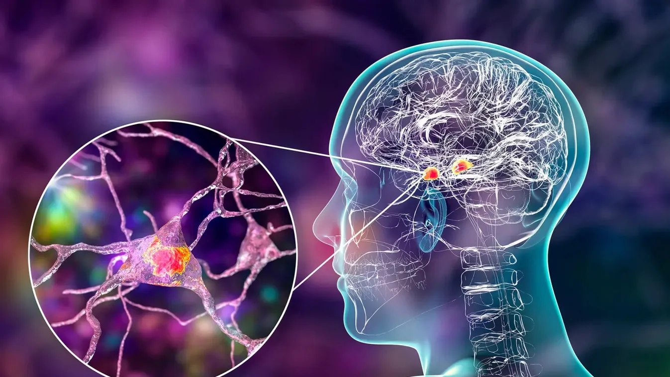 Tanulmány: Fejlettebb a konzervatívok anyaga