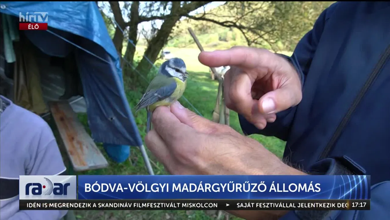 Radar - Bódva-völgyi Madárgyűrűző Állomás (2024-09-26)