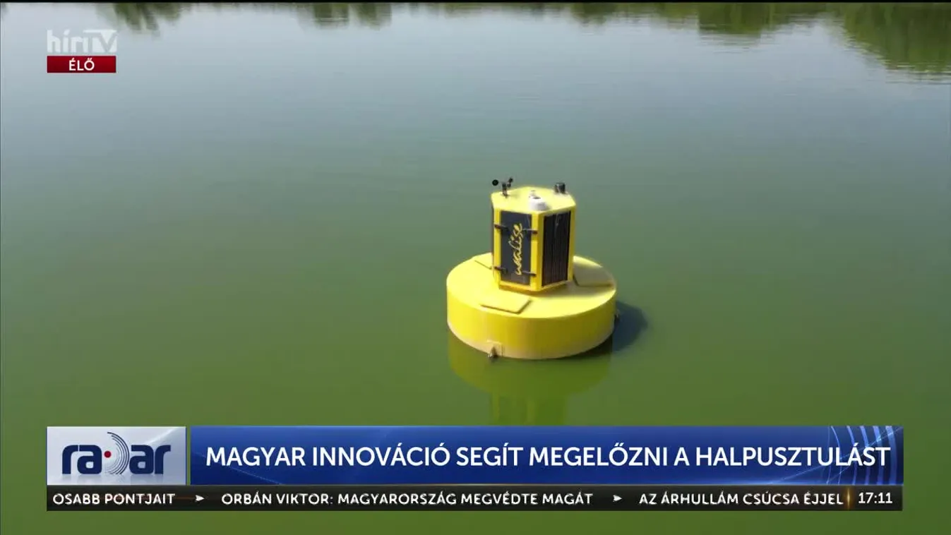 RADAR - MAGYAR INNOVÁCIÓ SEGÍT MEGELŐZNI A HALPUSZTULÁST