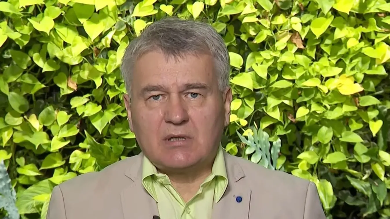 A spanyol kormány kigolyózta a magyarokat, most bedőlt a cég + videó