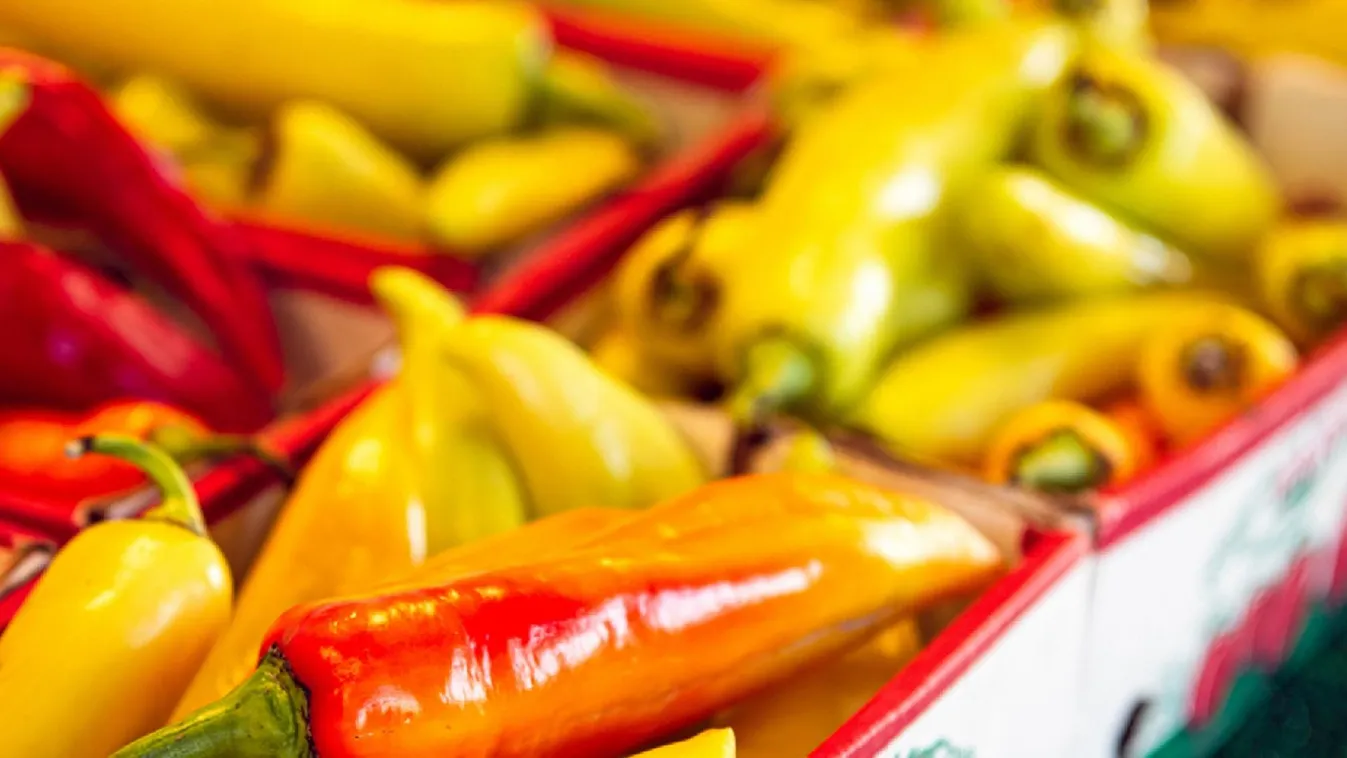 Szörnyű kór pusztítja a magyar paprikát