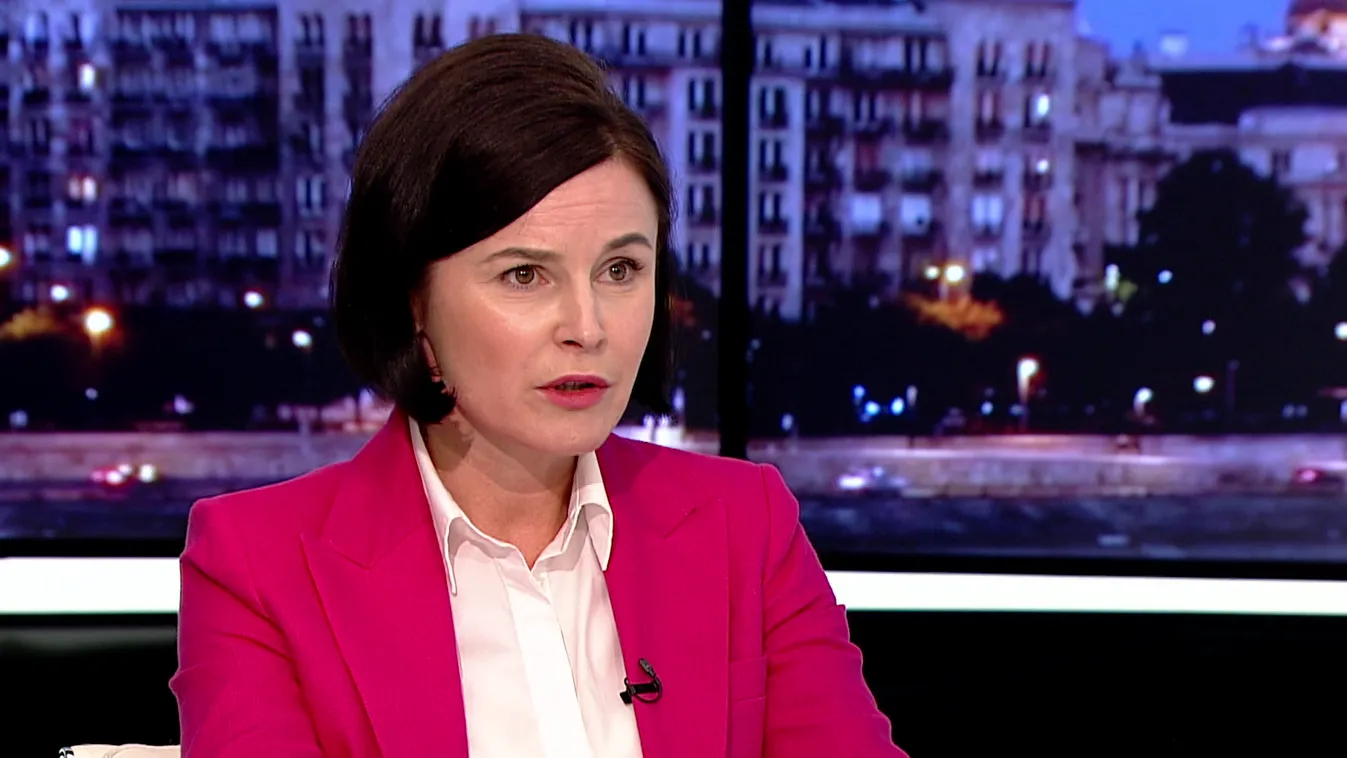 Kunhalmi Ánes kiszállt, új utakat keres + videó