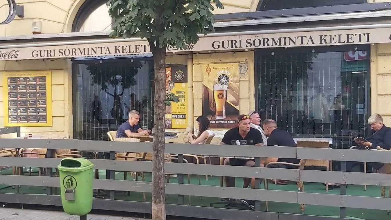 Messze elkerüli az európai parlamenti üléseket és van, hogy munkaidőben sörözget Magyar Péter