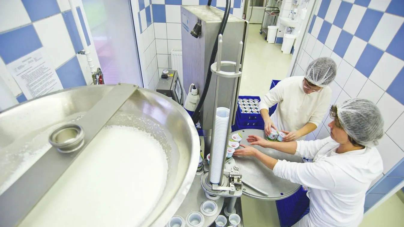 Sokan kezdtek bele tejfeldolgozó vállalkozásba az utóbbi években