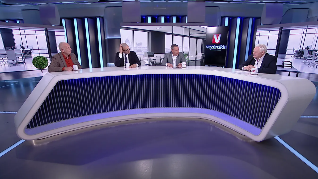 Vezércikk: Nemzeti konzultációt javasol a kormánynak a Fidesz + videó