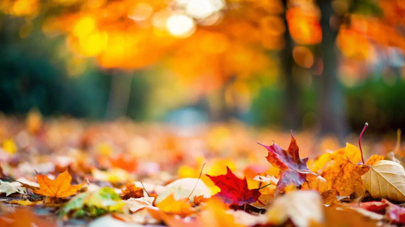 Nyugodt, napsütéses, őszi idő várható a hétvégén