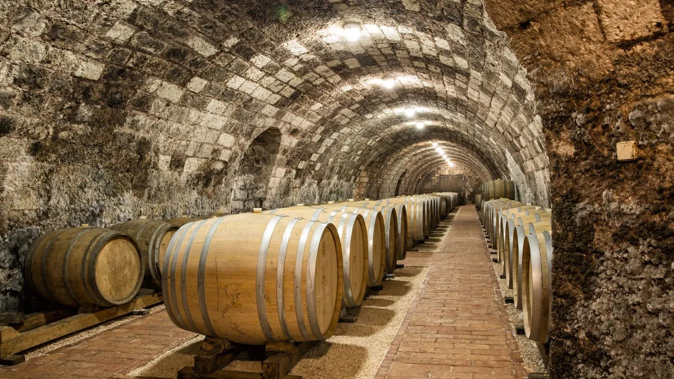 Tizennégy ország borászati szakembereinek tartanak tudományos találkozót