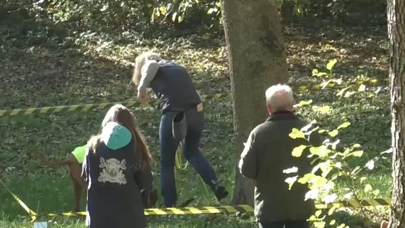 Huszonkét kutya és gazdája vett részt a 6. Szarvasgomba Fesztiválon + videó