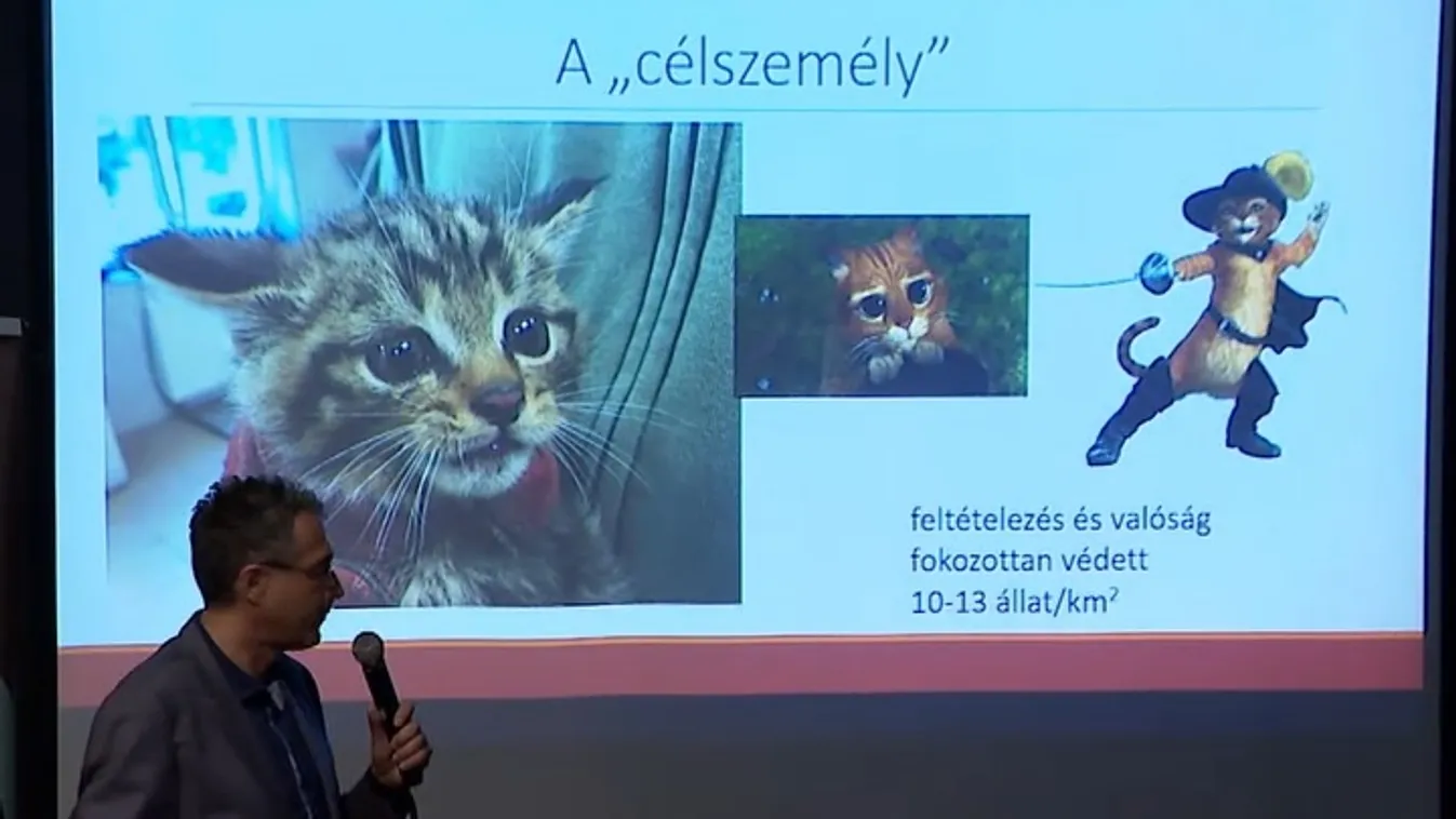 Játékokkal és tematikus feladványokkal készült a fővárosi állatkert + videó