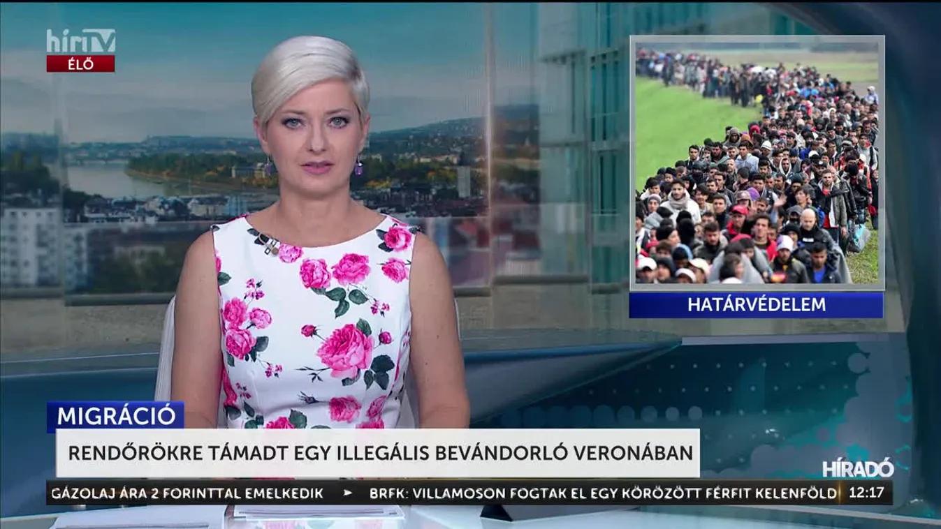 RENDŐRÖKRE TÁMADT EGY ILLEGÁLIS BEVÁNDORLÓ VERONÁBAN