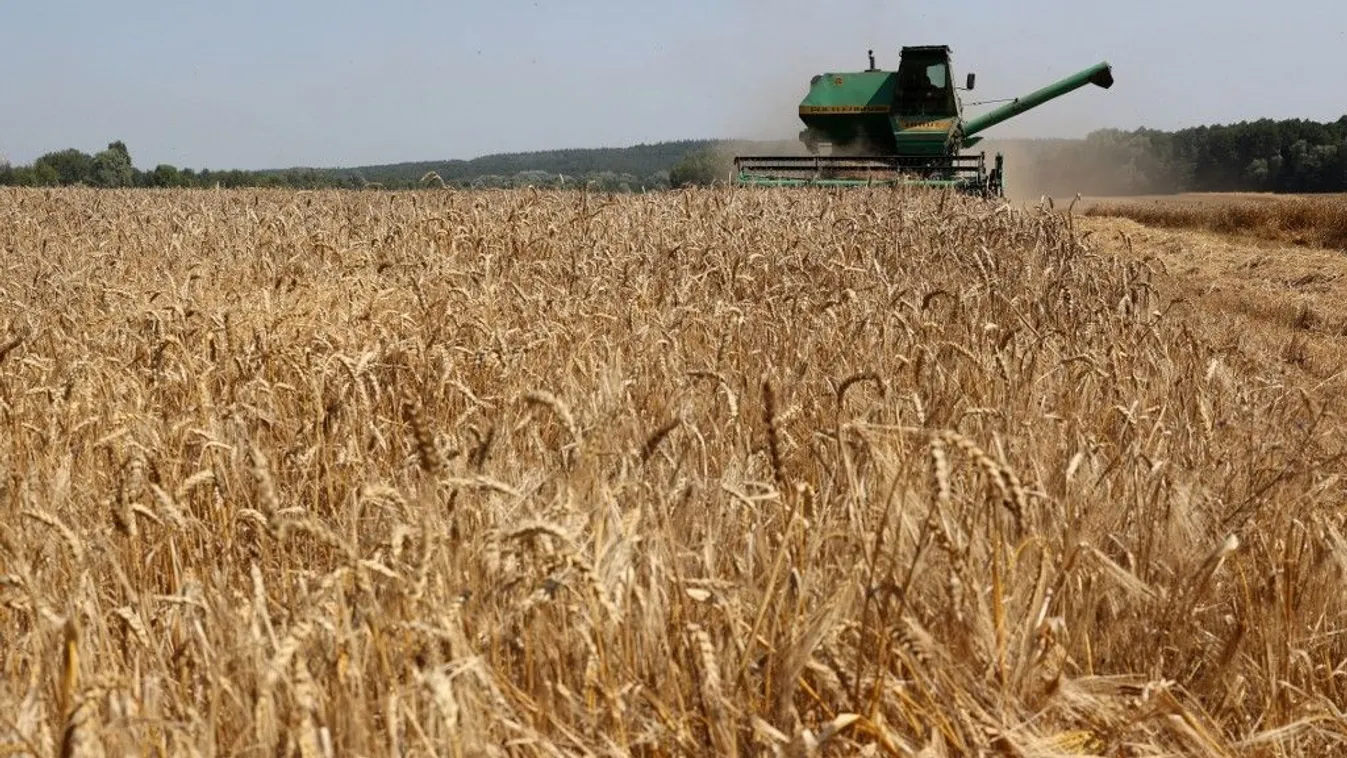 Új agrárprogramot indít az elcsatolt területeken az orosz elnök