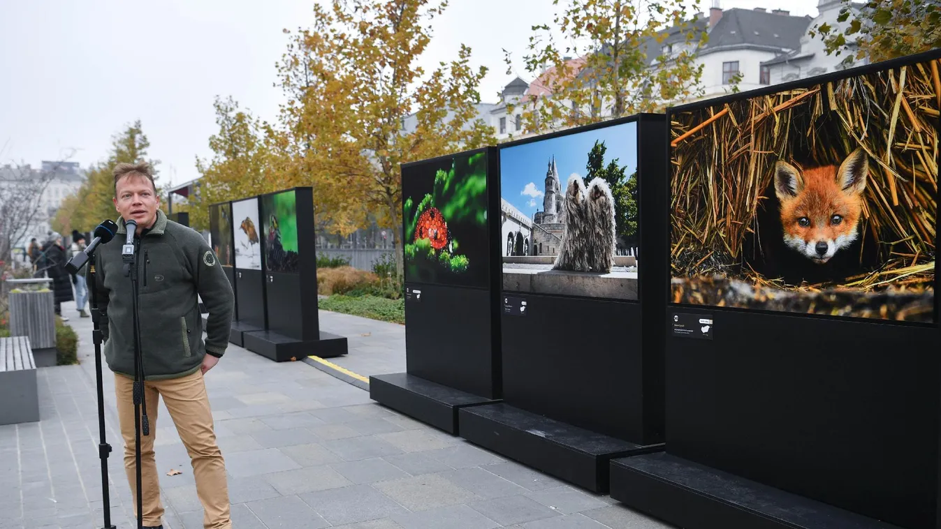 Magyarország állatvilágát bemutató fotókiállítás nyílt a Városligetben
