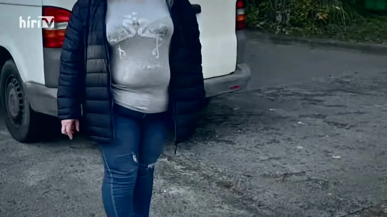 Célpont - "Büdös szimpatizánsok, agyhalott és teljesen alkalmatlan EP-képviselők"