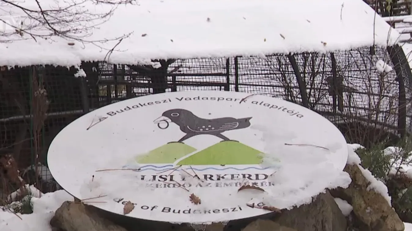 Radar - Óvjuk madarainkat télen is! + videó