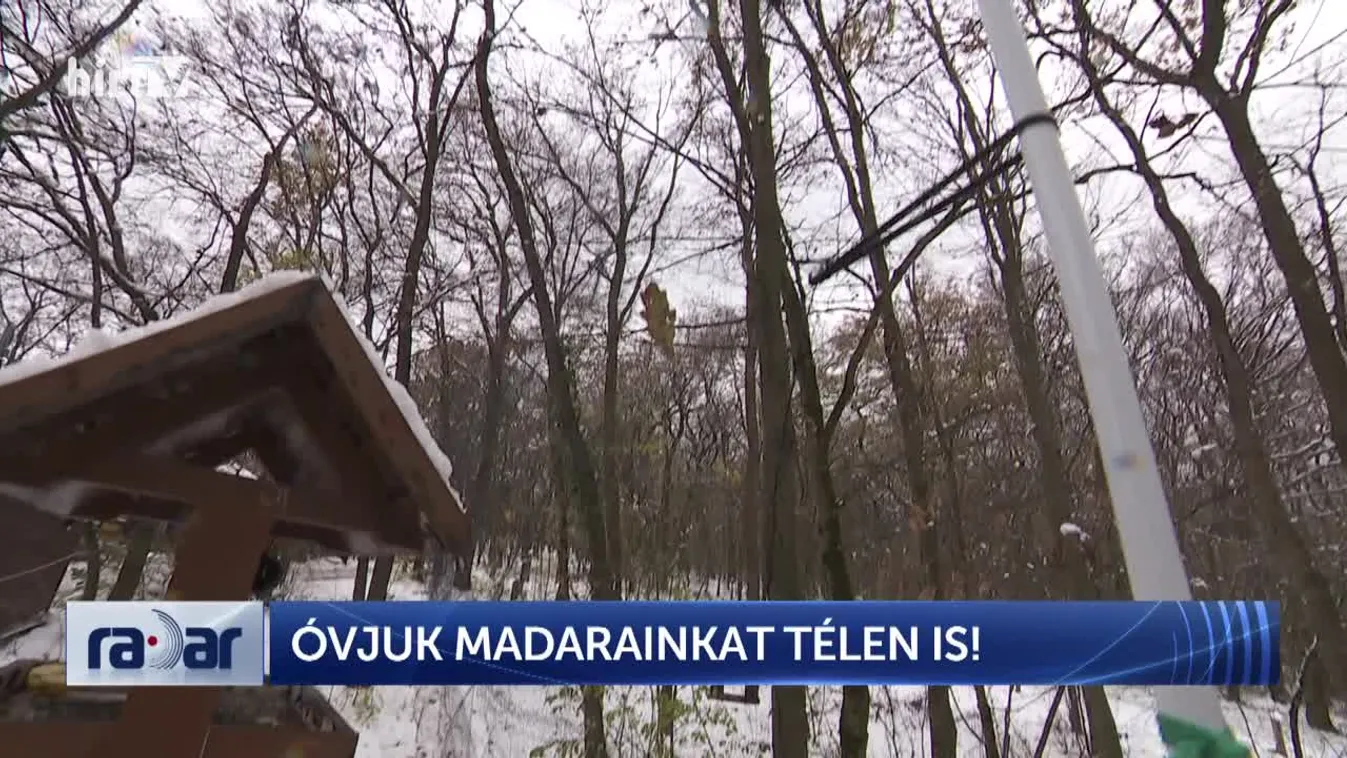 Radar - Óvjuk madarainkat télen is!