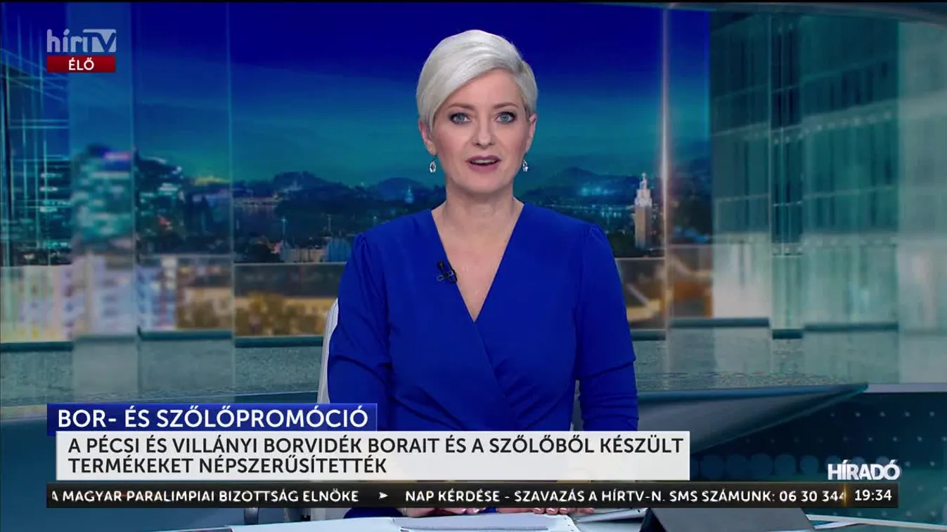 A pécsi és villányi borvidék borait és a szőlőből készült termékeket népszerűsítették