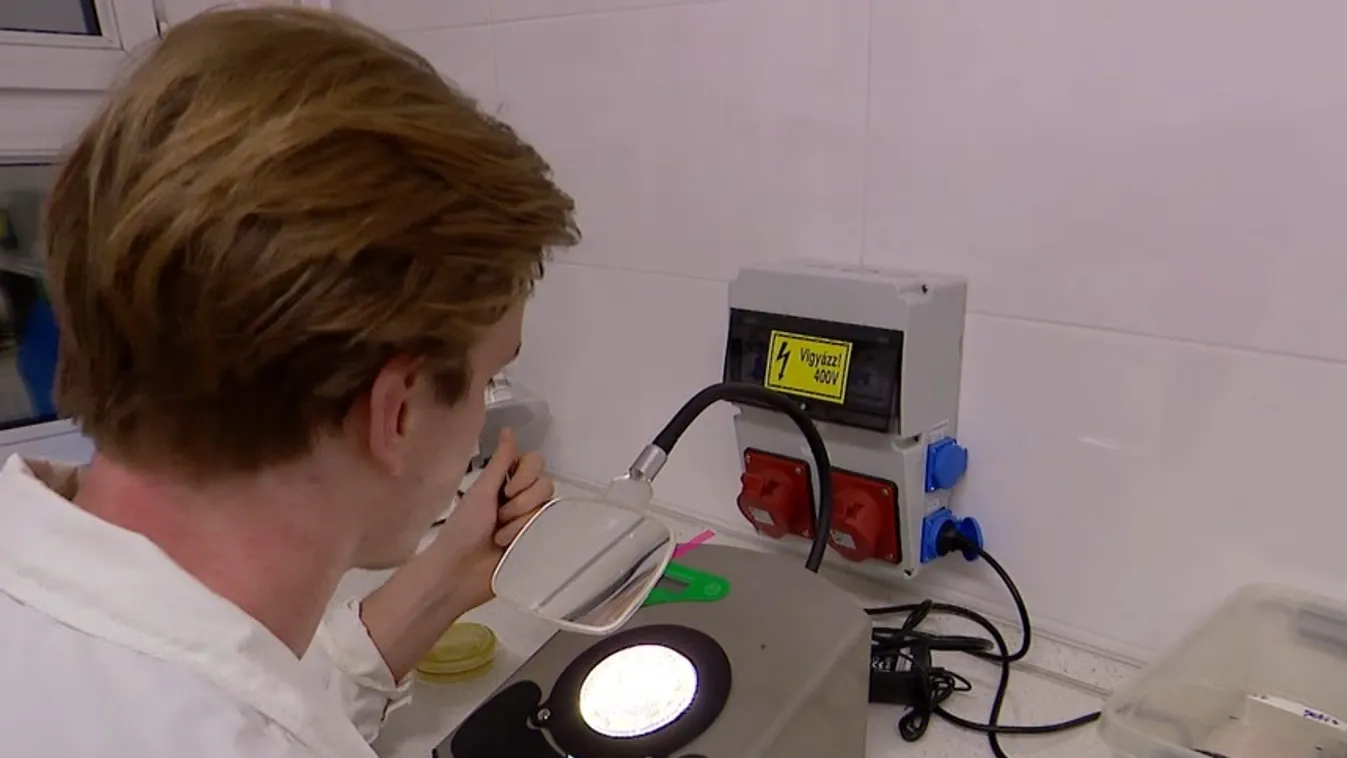 Radar – Kiváló minőségű a csapvíz hazánkban + videó