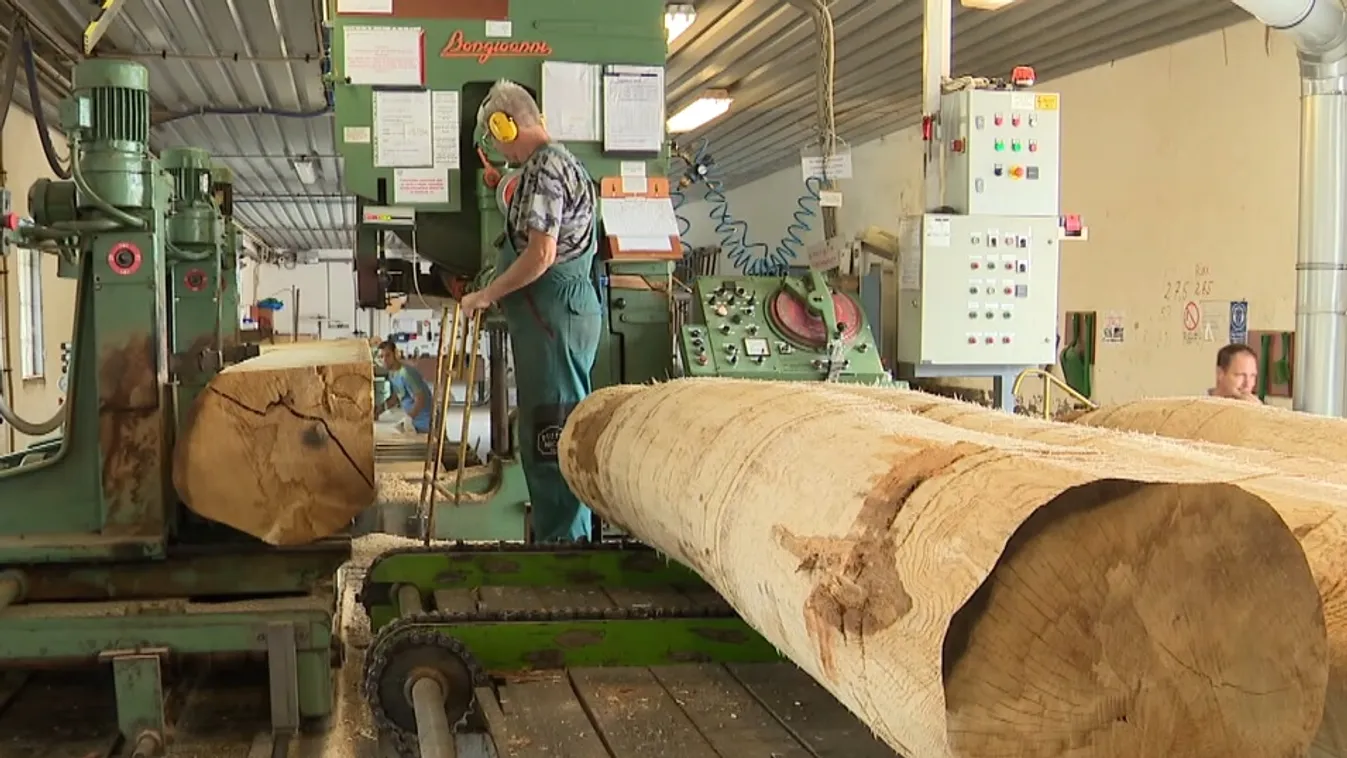 Ottó – A reformok feltétele, hogy sikerül-e Európának 2025-öt a béke évévé tenni + videó