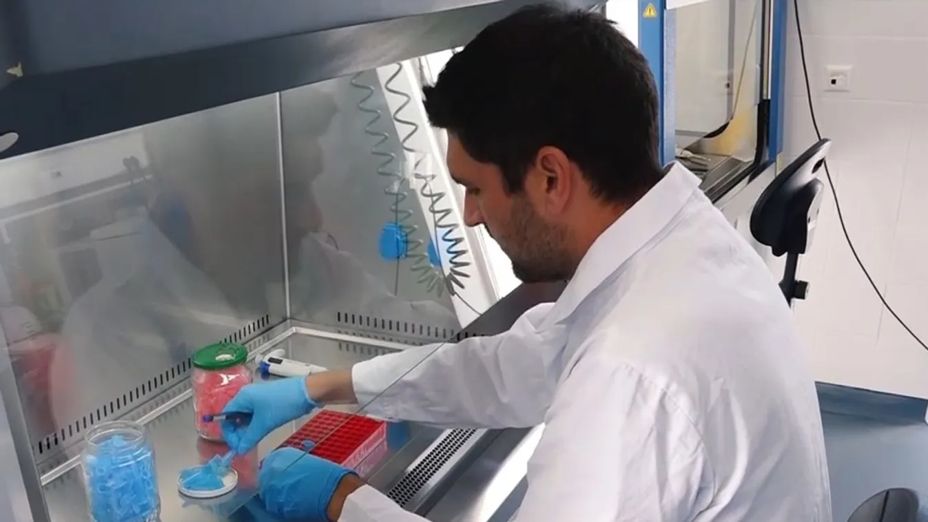 Radar - Kiderült, honnan indult ki a koronavírus! + videó