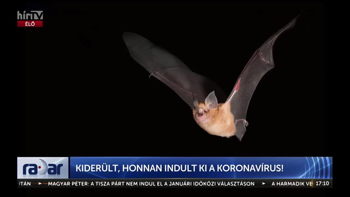 Radar - Kiderült, honnan indult ki a koronavírus!