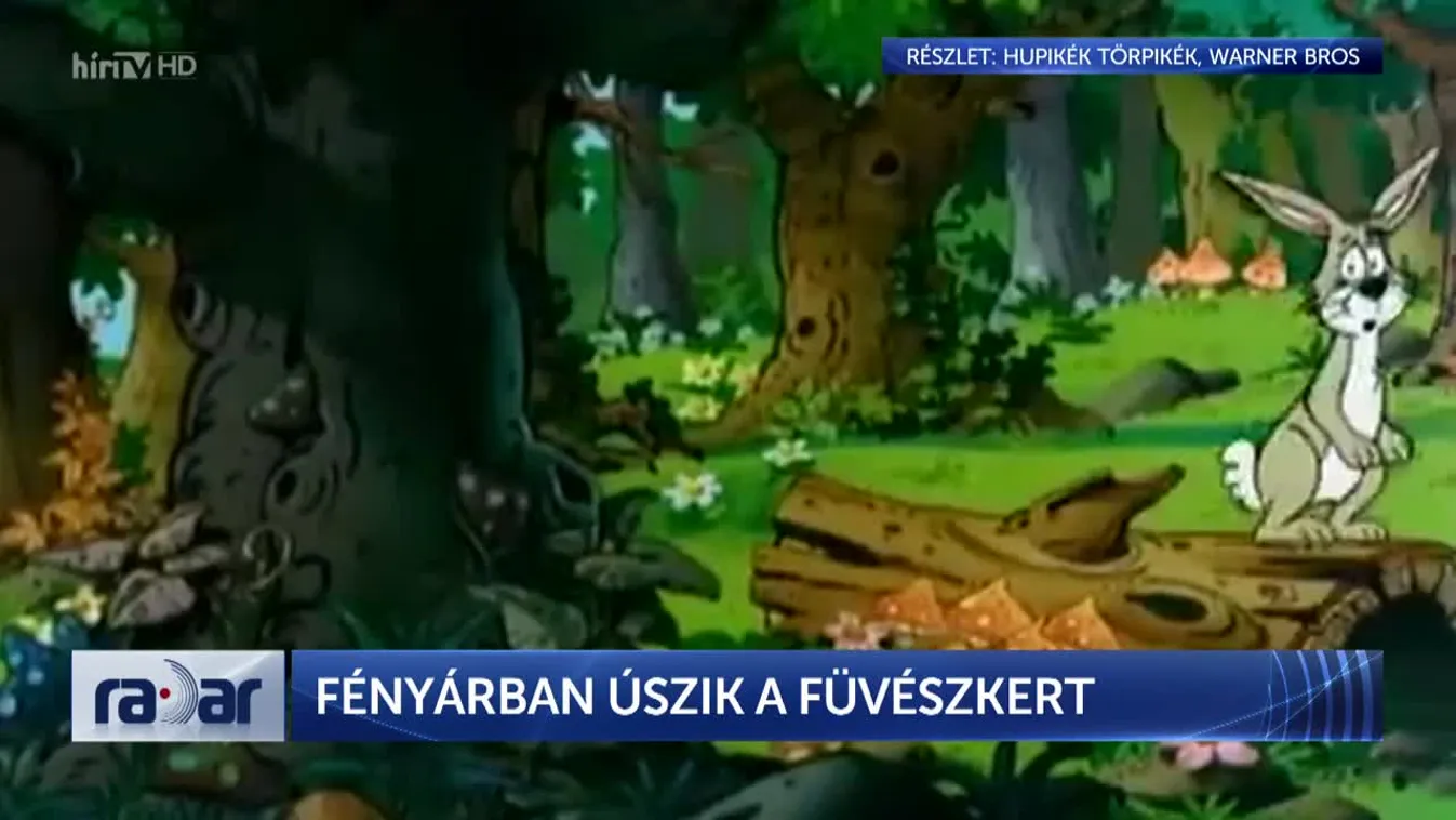 Radar – FÉNYÁRBAN ÚSZIK A FÜVÉSZKERT