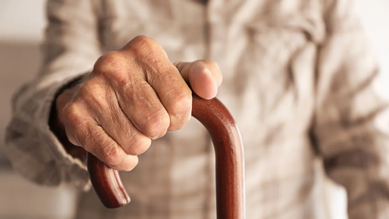 A nyugdíjasok döntő többsége elítéli a Tisza Párt szakértőjének az idős szavazók halálát vizionáló kijelentését