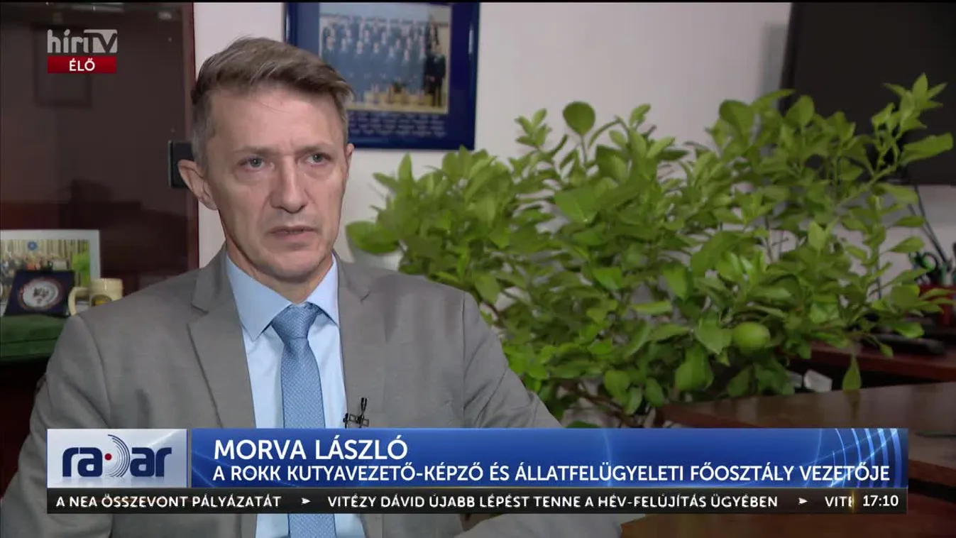 RADAR - 75 ÉVES A KUTYAKESZI