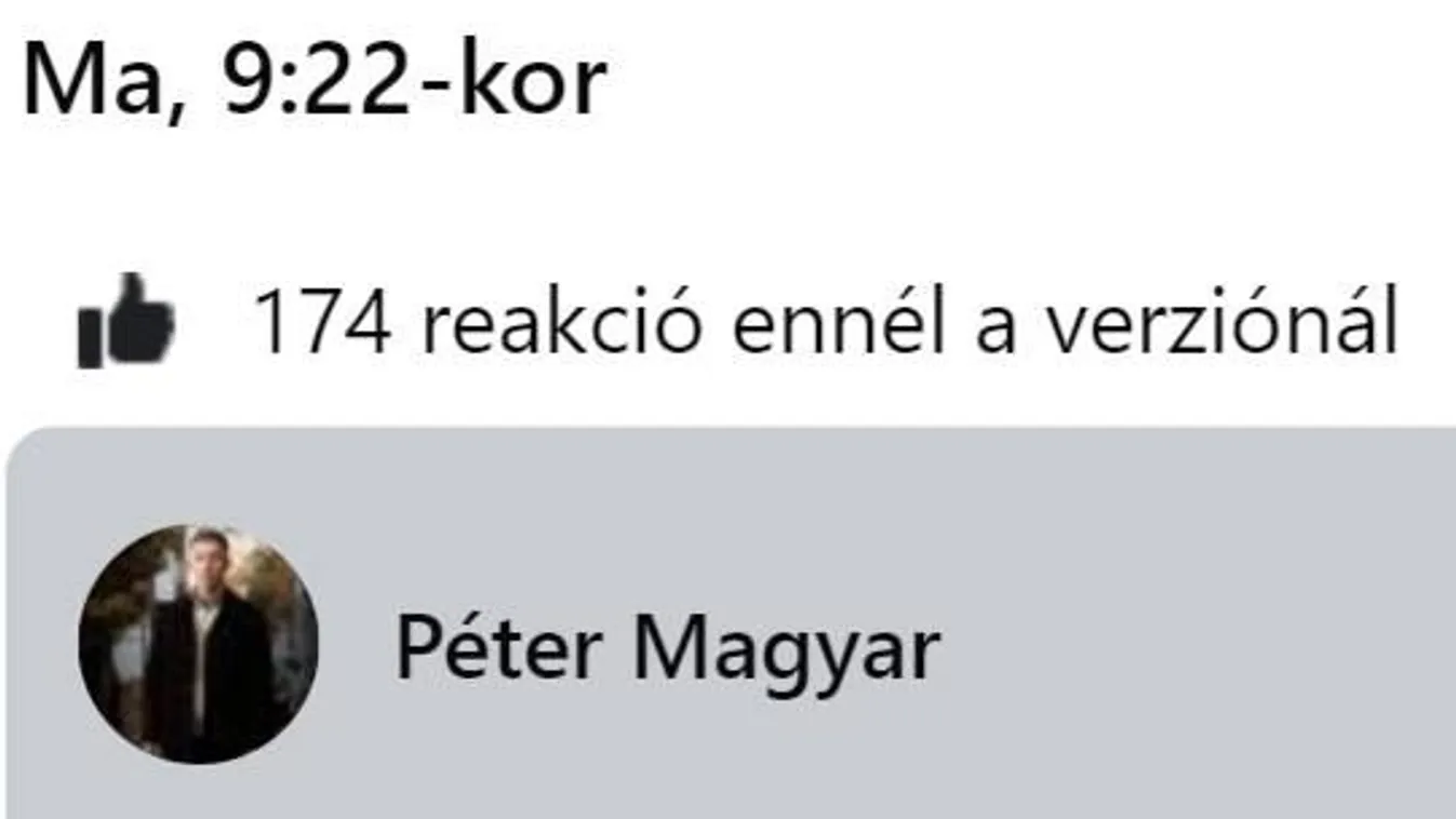 Nem győzte javítani bejegyzését Magyar Péter a nők elleni erőszak felszámolásáról szóló világnapon