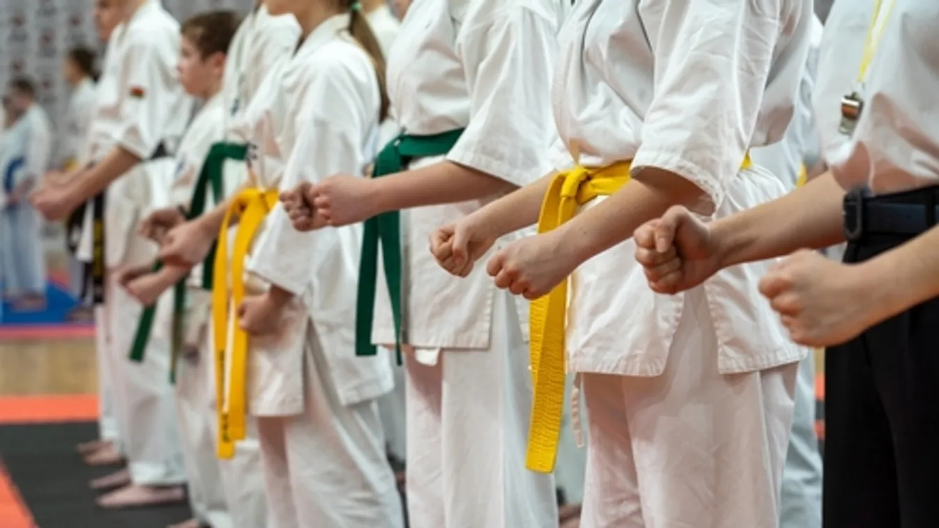 Tizenhat évre ítélték a kiskorú tanítványait szexuálisan molesztáló gyulai karateedzőt