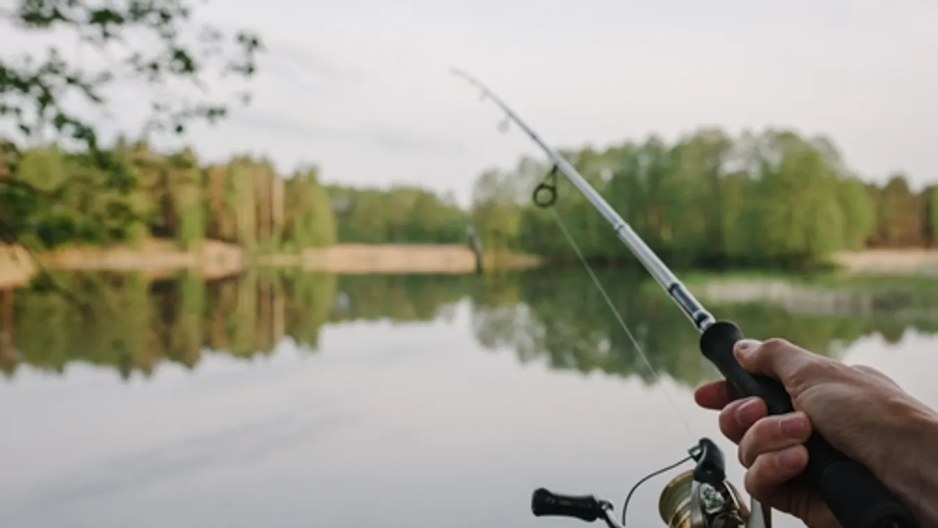 Óriáspontyot fogtak Gyomaendrődön